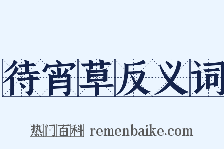 待宵草反义词是什么意思的图片